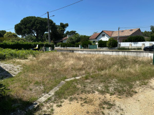 Photo de galerie - Tonte de pelouse 