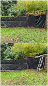 Photo de galerie - Paysagiste - Aménagement du jardin