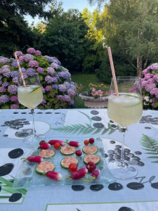 Photo de galerie - Taosts apéritif 