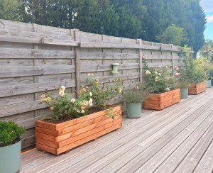 Photo de galerie - Aménagement terrasse et palissade