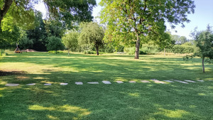 Photo de galerie - Tonte et Entretien d'espaces verts