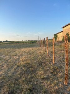 Photo de galerie - Paysagiste - Aménagement du jardin