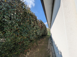 Photo de galerie - ? Après 