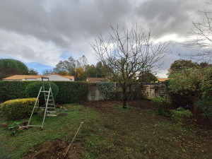 Photo de galerie - Réalisation de taille de haies