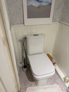 Photo de galerie - Changement d’un toilette standard (après)