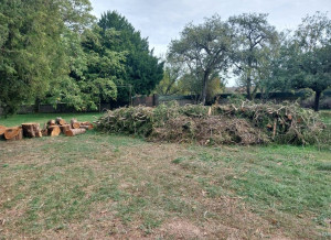Photo de galerie - Évacuation Tronc/ branches.