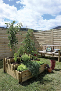 Photo de galerie - Ensemble Jardinière Bois