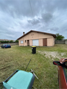 Photo de galerie - Tonte de pelouse - Débroussaillage