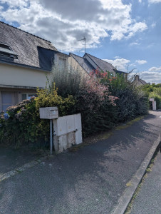 Photo de galerie - Taille de haies et d'arbustes