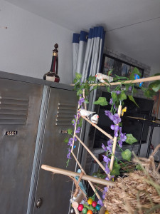 Photo de galerie - Bricolage et multi services