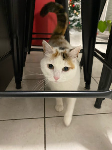 Photo de galerie - Nina