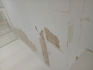 Photo de galerie - Ce toit était en très mauvais état avant.