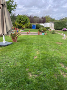 Photo de galerie - Tonte et entretien de jardin