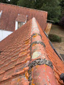 Photo de galerie -  Démoussage et nettoyage de faîtières réalisé avec soin. Élimination des mousses et lichens pour redonner un aspect propre et soigné à la toiture. 