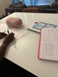 Photo de galerie - Nos cours a domicile 