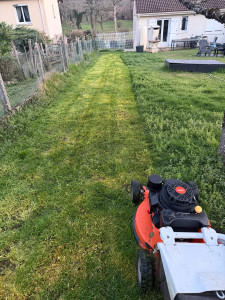 Photo de galerie - Premier tonte 