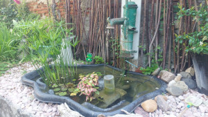 Photo de galerie - Aménagement bassin aquatique 