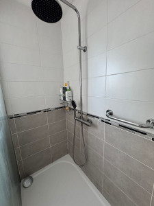 Photo de galerie - Remplacement de la collone de douche 