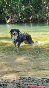 Photo de galerie - .
