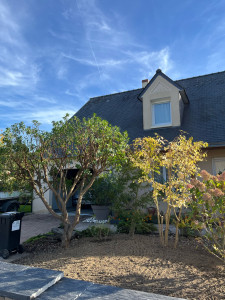 Photo de galerie - Taille au sécateur à 