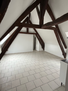 Photo de galerie - Peinture - Tapisserie