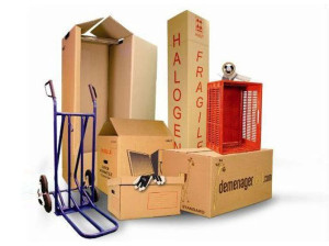 Photo de galerie - Déménagement manutention