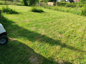 Photo de galerie - Ton tracteur tondeuse