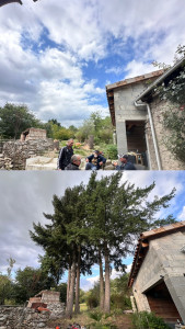 Photo de galerie - Élagage et suppression de quatre Douglas de 35 m de deux haut 