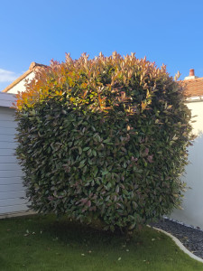 Photo de galerie - Avant