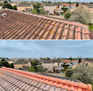 Photo de galerie - Couverture - Toiture