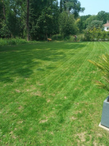 Photo de galerie - Paysagiste - Aménagement du jardin