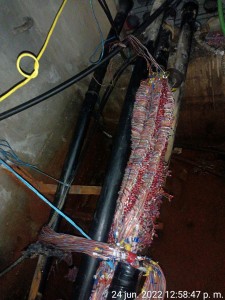 Photo de galerie - Assistance informatique