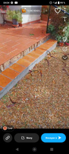 Photo de galerie - Bricolage et multi services