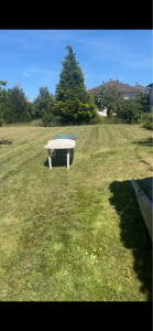 Photo de galerie - Tonte et débroussaillage 