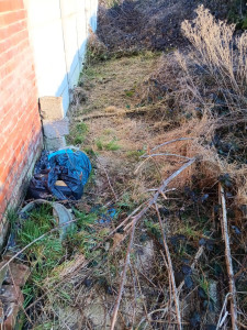 Photo de galerie - Tonte de pelouse - Débroussaillage