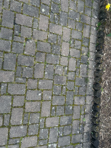 Photo de galerie - Jardinier