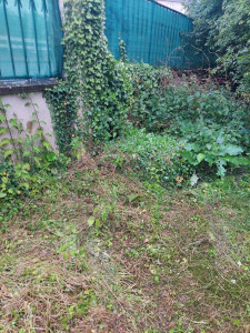 Photo de galerie - Debroussaillage avant 