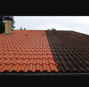 Photo de galerie - Nettoyage par application d'un anti-mousse fongicide et finition par nettoyage haute-pression 