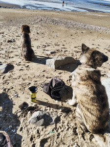 Photo de galerie - Sortie à la plage avec Oren et Gabin ?