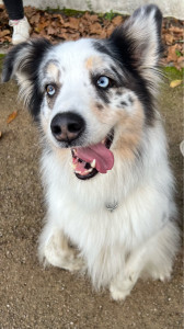 Photo de galerie - Ouchka