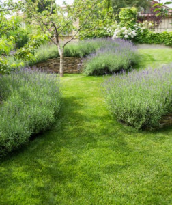 Photo de galerie - Entretien des massifs, tonte et taille saisonnière