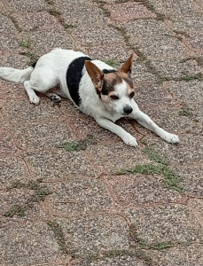 Photo de galerie - M