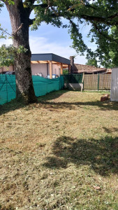 Photo de galerie - Tonte de pelouse - Débroussaillage