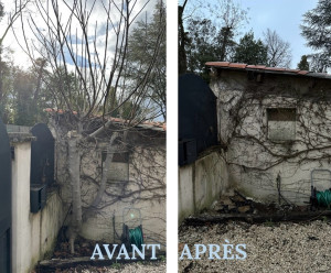 Photo de galerie - Elagage et coupe d'arbres
