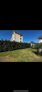 Photo de galerie - Avant taille