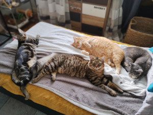 Photo de galerie - Instant câlin 