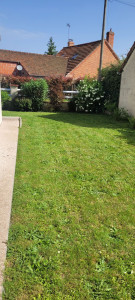 Photo de galerie - Tonte de pelouse 