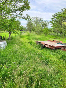 Photo de galerie - Tonte de pelouse - Débroussaillage