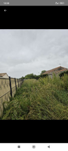 Photo de galerie - Tonte de pelouse - Débroussaillage