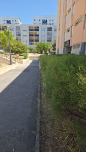 Photo de galerie - Photo apres travaux.